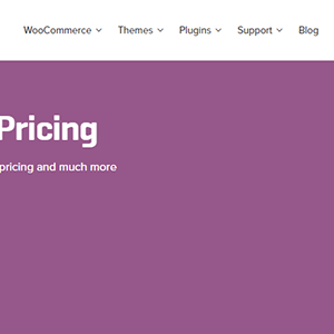 Woocommerce Dynamic Pricing