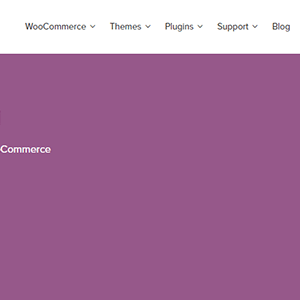 Woocommerce Gateway Firstdata