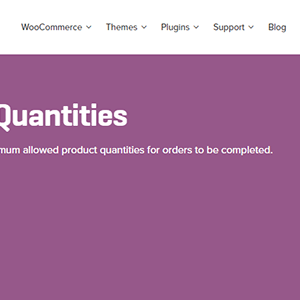 Woocommerce Min Max Quantities
