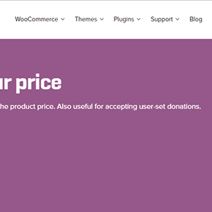 Woocommerce Name Your Price