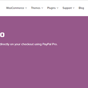 Woocommerce Paypal Pro Gateway