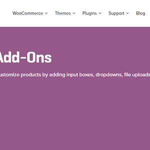Woocommerce Product Add-Ons