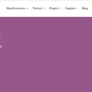 Woocommerce Gateway World Pay