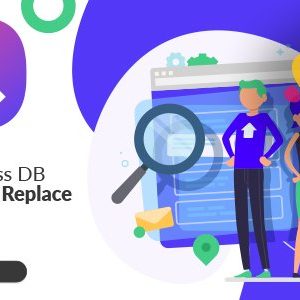 WordPress Database Search & Replace plugin