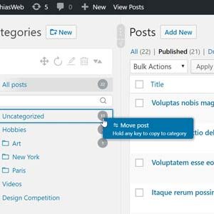 WordPress Real Category Management - Custom category term order / Tree view