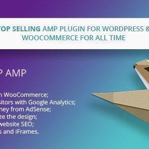WP AMP