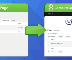 WP Frontend Admin (Premium)