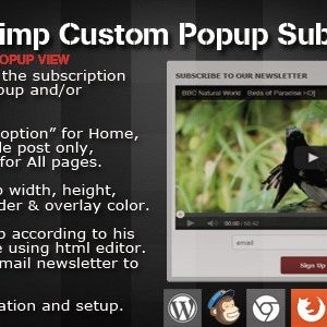 WP Mailchimp Subscription