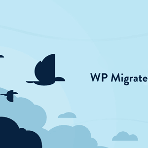 WP Migrate DB Pro