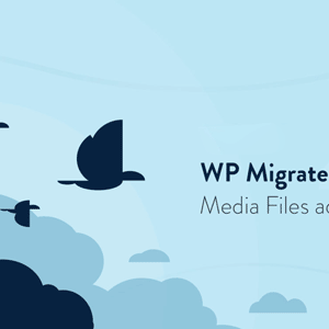 WP Migrate DB Pro - Media Files addon