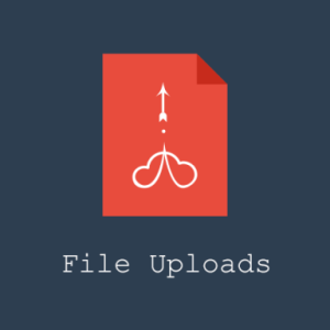 User Registration File Upload