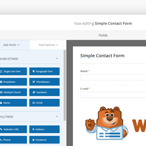 WPForms Offline Forms