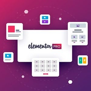 Elementor Pro Activ@tor