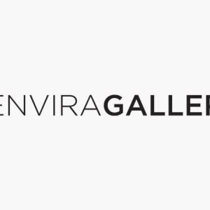 Envira Gallery - Google Photos Addon